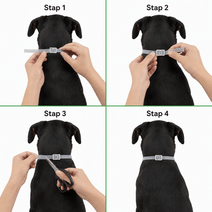 PetProtect Vlooien- & Tekenband
