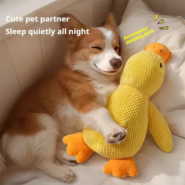 Product placeholder